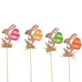 Floristik24 Flower plug wooden Easter bunny with egg colored 9.5cm 12pcs