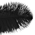 Floristik24 Ostrich Feathers Decoration Black Feathers 32-35cm 4pcs