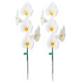 Artificial Calla Lily with yellow stamen, decorative blossoms, 35cm, 10 pieces | Floristik24.ie