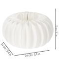 Honeycomb paper ring pumpkin round large for dried flowers and autumn decoration 24cm 4pcs | Floristik24.ie