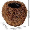 Decorative planter with pine cones, natural look, 27cm. Round pine cone pot, natural brown, made from pine cones, 27cm x 22cm. | Floristik24.ie