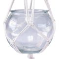 Floristik24 Macrame hanging basket glass decorative vase round Ø13.5cm