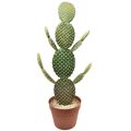 Floristik24 Decorative cactus artificial potted plant prickly pear 64cm