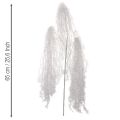 Artificial winter branch in white with a snowy, frosted look, 70cm | Floristik24.ie
