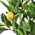 Floristik24 Artificial Plants Lemon Tree Artificial Potted Plant 90cm
