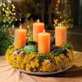 Achillea Natur Gelb Yarrow Dried Flowers Yellow 1kg | Floristik24.ie