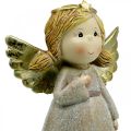 Floristik24 Advent decoration, guardian angel, Christmas angel, angel figure H24cm