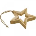 Floristik24 Advent decoration star made of wood Christmas decoration star H14.5cm