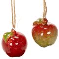 Floristik24 Autumn decoration apple ceramic for hanging 5cm 4pcs