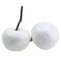 Floristik24 Decorative apples white with glitter 5.5–6.5cm 12pcs