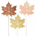 Floristik24 Autumn garden stake maple leaf wood W9.5cm L31cm 12pcs
