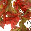 Floristik24 Deco branch maple autumn decoration 100cm Artificial plant like real!