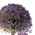 Floristik24 Allium 87cm Lavender