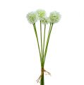 Floristik24 Allium 35cm white 6pcs