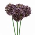 Floristik24 Ornamental onion Allium artificial purple Ø7cm H58cm 4pcs