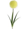 Floristik24 Allium yellow 68cm