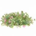 Floristik24 Meadow wreath flocked with clover pink, green Ø30cm