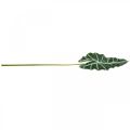 Floristik24 Artificial arrow leaf artificial plant alocasia deco green 74cm
