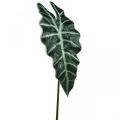 Floristik24 Artificial arrow leaf artificial plant alocasia deco green 74cm