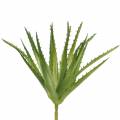 Floristik24 Aloe Vera artificial Green 26cm