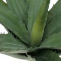 Floristik24 Aloe branch artificial green 47cm