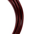 Floristik24 Aluminum wire 2mm 100g Bordeaux