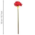 Artificial red amaryllis flower with stem, flower decoration for Christmas, 50cm | Floristik24.ie