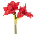 Artificial red amaryllis flower with stem, flower decoration for Christmas, 50cm | Floristik24.ie