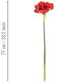 Artificial Amaryllis flower, red, long stem, for vase and arrangement, 77cm | Floristik24.ie
