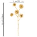 Artificial Amber Fruit Branch, Gold Decoration, 26cm Bundle of 6 | Floristik24.ie