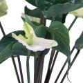 Floristik24 Artificial flowers, flamingo flower, artificial anthurium white 36cm