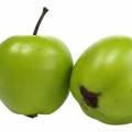 Floristik24 Decorative fruit mini apple artificial green 4.5cm 24pcs