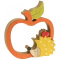 Floristik24 Decorative figure autumn, apple with hedgehog, wooden decoration 16.5×15cm 3pcs