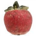 Floristik24 Apple for decorating, autumn, decorative fruit made of concrete, table decoration Ø13cm