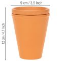 Aquasafe water reservoir with insect drinking trough for garden, balcony, terrace, 12cm, 3 pieces | Floristik24.ie