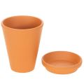 Aquasafe water reservoir with insect drinking trough for garden, balcony, terrace, 12cm, 3 pieces | Floristik24.ie