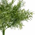 Floristik24 Asparagus bush Ornamental asparagus pick with 9 branches artificial plant