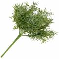 Floristik24 Asparagus bush Ornamental asparagus pick with 9 branches artificial plant