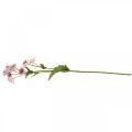 Floristik24 Large Masterwort Artificial Astrania Silk Flower White Pink L61cm