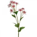 Floristik24 Large Masterwort Artificial Astrania Silk Flower White Pink L61cm