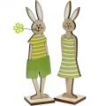 Floristik24 Easter bunny stand green bunny wood Easter decoration 4pcs