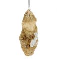 Floristik24 Oyster with pearl and mica to hang 10.5cm