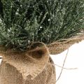 Floristik24 Mini Christmas tree artificially snowed in a sack H41cm