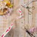 Decorative ribbon with dachshund motif, gift ribbon, 15mm wide, 18m long | Floristik24.ie