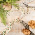 Decorative ribbon with holly and berries, dimensionally stable edge, 25mm, 18m | Floristik24.ie