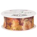 Gift ribbon in autumn colors,
