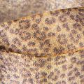 Leopard print gift ribbon for