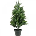 Floristik24 Artificial Christmas tree in pot LED outdoor 90cm