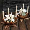 Floristik24 Bowl with 4 tree candle holders brown Ø14cm