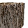 Floristik24 Tree bark roll natural 10cm 1m